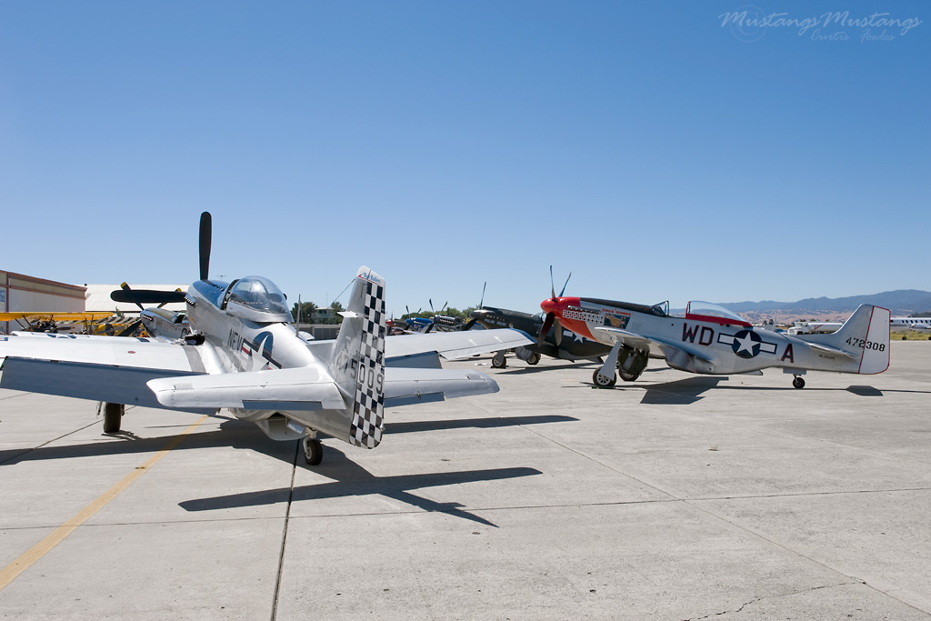44-75009_04539_cf1.jpg