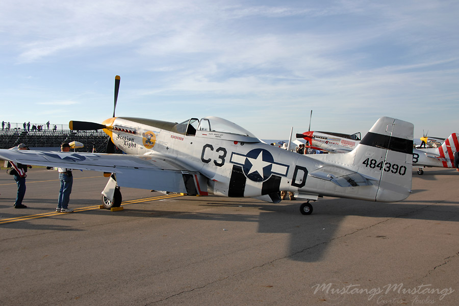 44-84390_04563_cf1.jpg