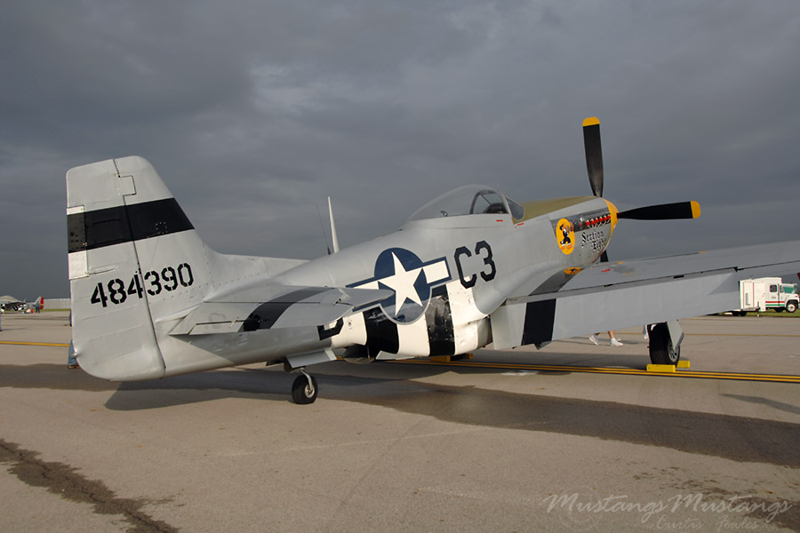 44-84390_04567_cf1.jpg