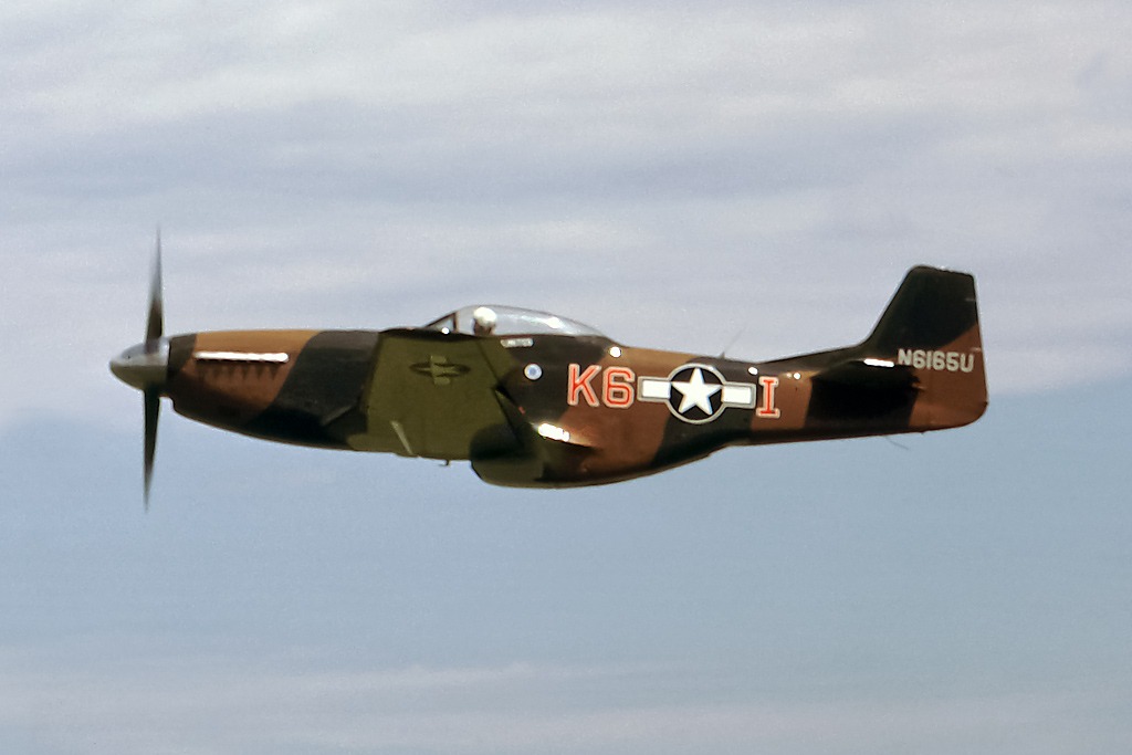44-84634_8703_dm9.jpg