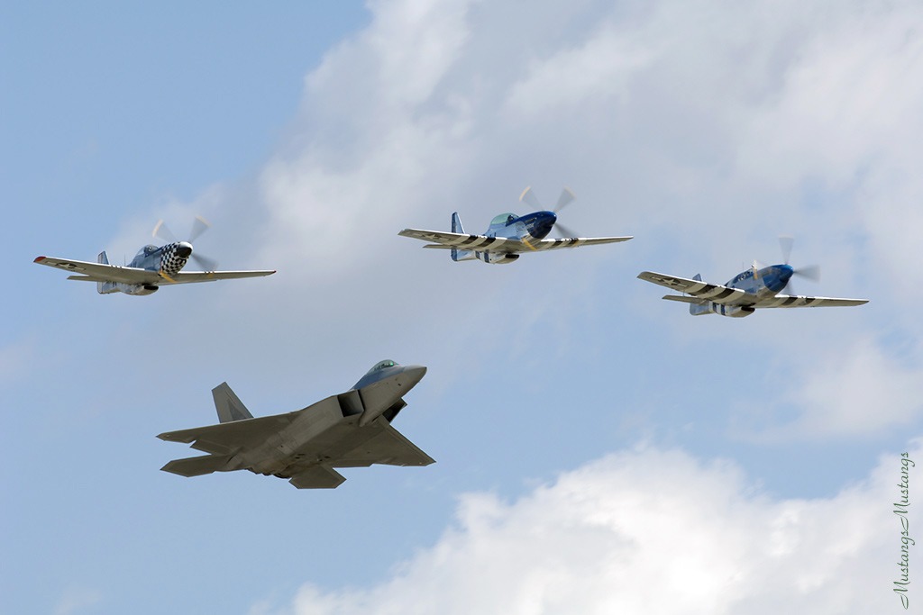 44-84745_8799_cf1.jpg