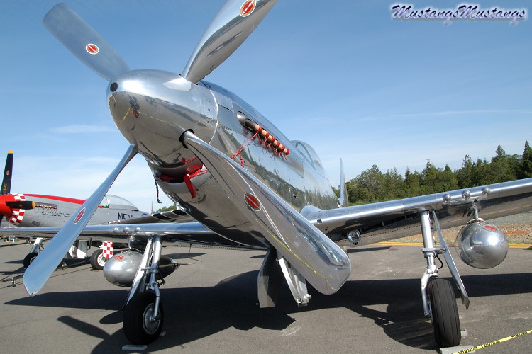 44-84864_04831_cf1.jpg