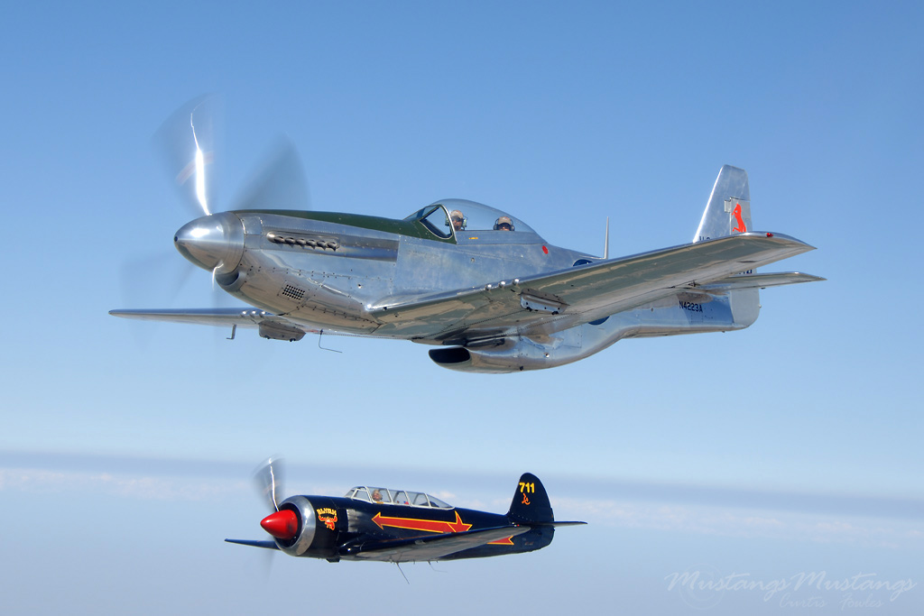 44-84864_04843_cf1.jpg