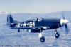 P-51