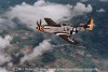 P-51