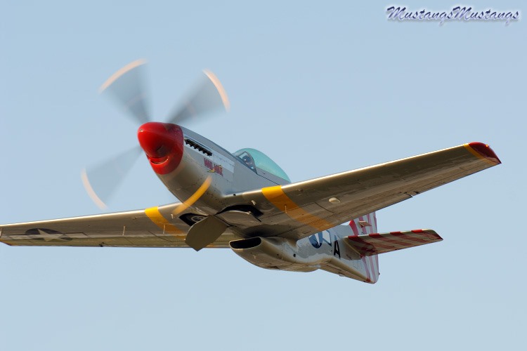45-11559a_05409_cf1.jpg