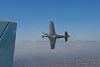 P-51