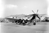 P-51