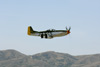 P-51