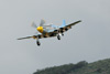 P-51