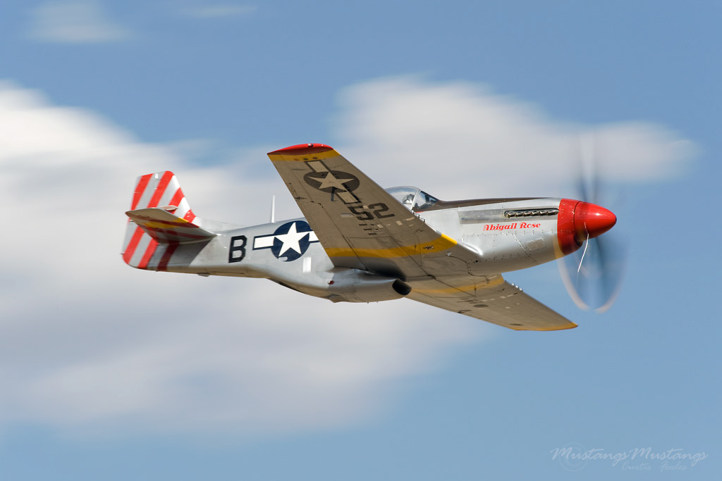 67-22581_05676_cf1.jpg