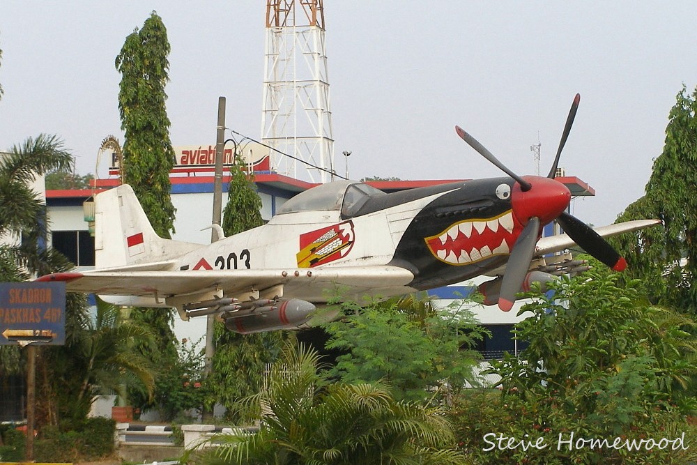 IAF303_8358_sh2.jpg