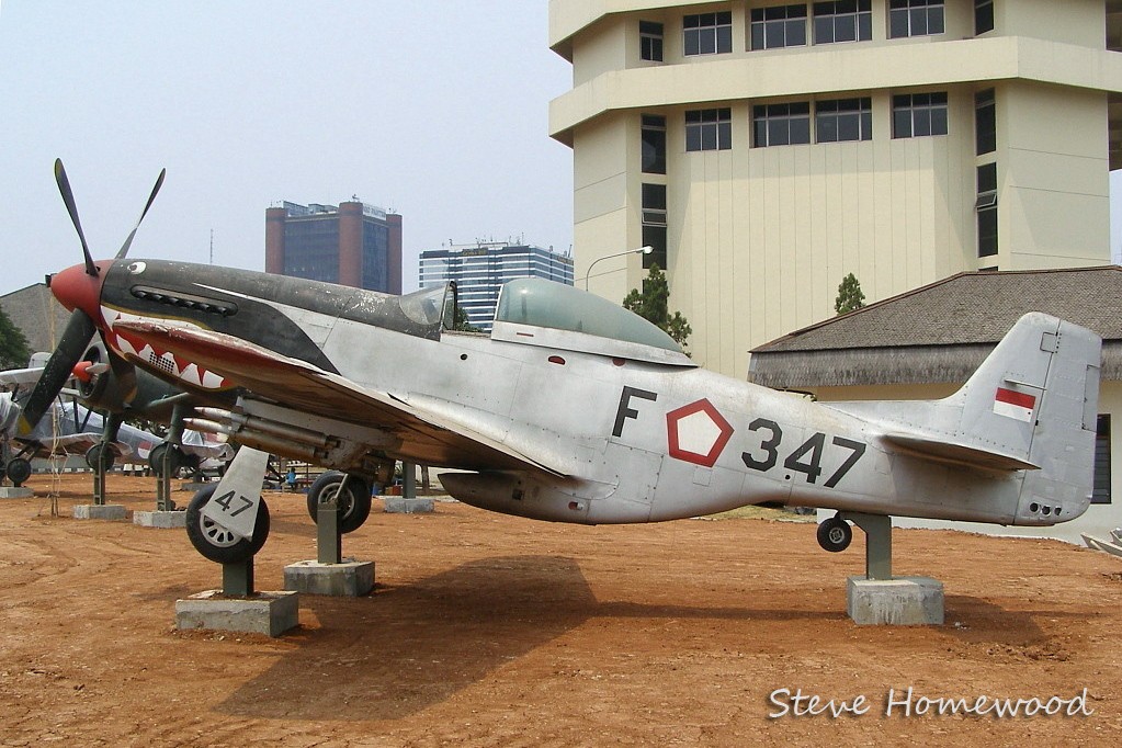 IAF347_8359_sh2.jpg