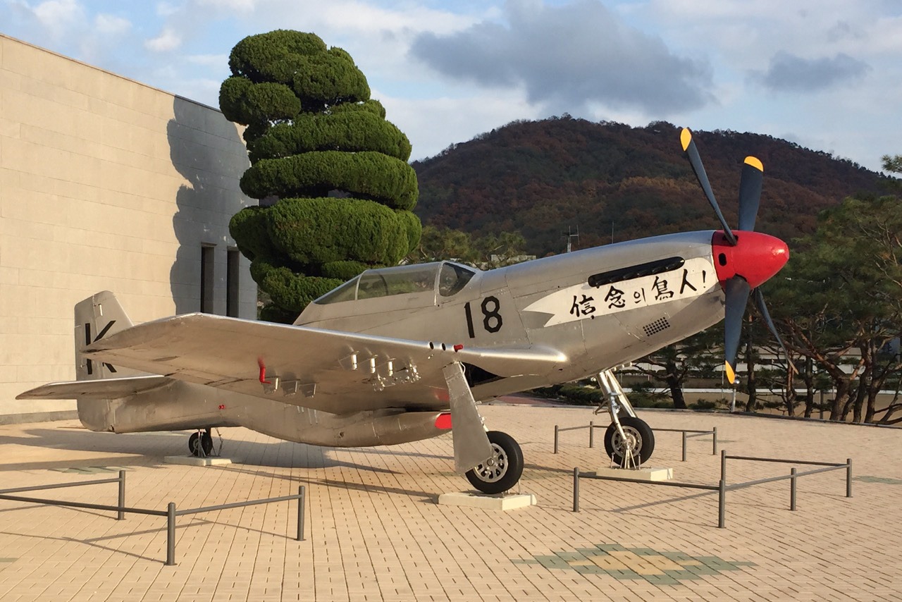 ROKAF053_9504_ml3.jpg