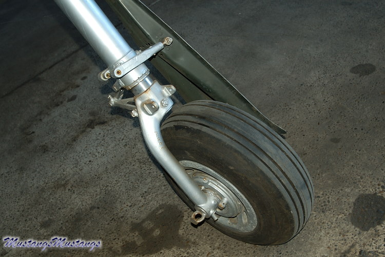 UNK02_06007_cf1.jpg