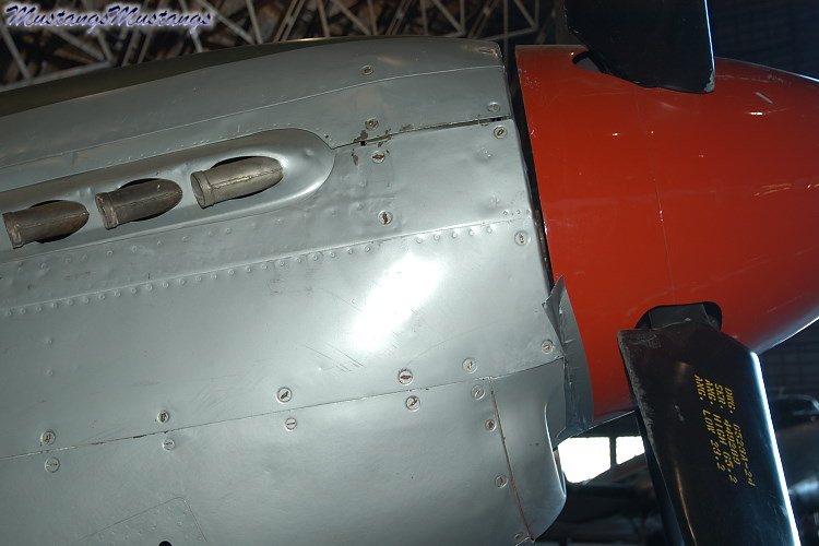 UNK02_06010_cf1.jpg