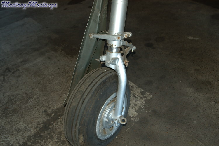 UNK02_06013_cf1.jpg