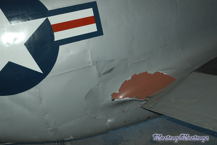 UNK02_06016_cf1.jpg