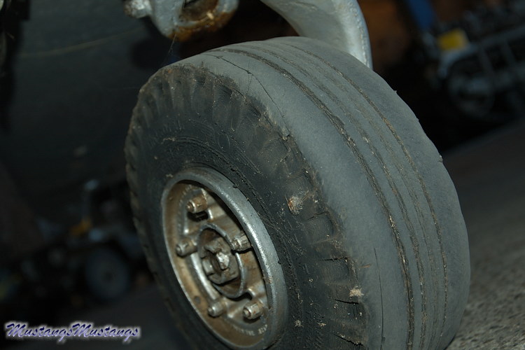 UNK02_06019_cf1.jpg