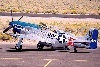 MoonbeamMcSwine.1t.jpg