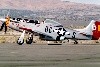 OldCrow.1t.jpg