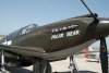 P-51A-1NA_3t.jpg
