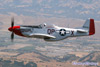 P-51D-30NT_6t.jpg
