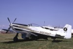 P-51 Who